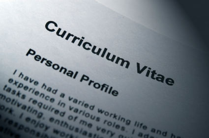 CV or personal profile